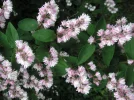 PICT0005.webp