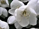 PICT0014.webp