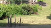 20180528_081539_resized.webp