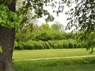 DSCF7313 (2).webp