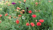 20180529_102141.webp