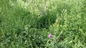 20180529_103634.webp