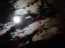 001.webp