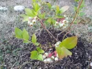 20180530_194230.webp