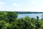 DSCF7802 (3).webp