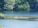 DSCF7837 (2).webp