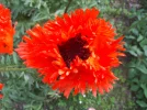 20180528_184704.webp