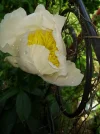 IMG_20180601_123809042.webp