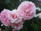 20180601_183325.webp