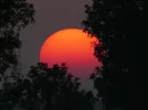 sunset-1370447_1920.webp