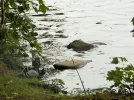 DSCF9093 (2).webp