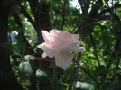 DSCF1511.webp