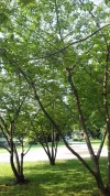 20180605_082339.webp