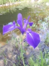 20180601_184209.webp