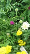 20180607_094206.webp