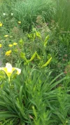 20180607_093920.webp