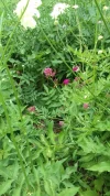 20180607_094142.webp