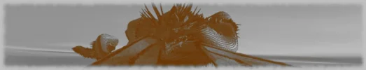 altesfoto.webp