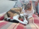 20180603_194925.webp