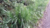 20180606_190230.webp