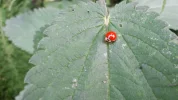 20180606_190103.webp