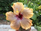 20180609_142222.webp