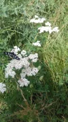 20180609_151444.webp