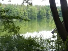 DSCF9143 (2).webp