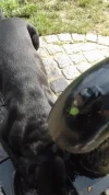 20180610_160911.webp