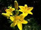 20180616_104239.webp