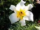 20180616_104308.webp