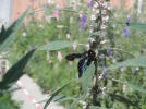 DSCF1925.webp