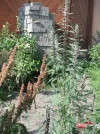 DSCF1936.webp