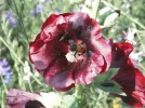 DSCF1911 (2).webp