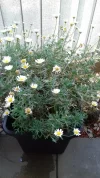 20180619_132233.webp