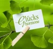 Glückshormone.webp