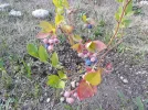 20180619_182605.webp