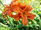 20180620_092856.webp
