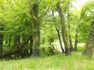DSCF7564 (2).webp