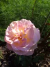 20180527_135813.webp