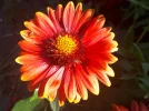 20180621_092821.webp