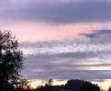 E859646C-3BE0-4A34-9964-0B6B2C769CD2.webp