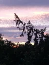 3B099E97-9502-4FE6-BD75-46658B9ADDB4.webp
