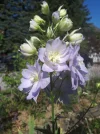 20180621_092716.webp