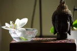 IMGP9445.webp