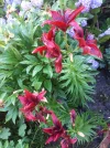 20180628_083702.webp