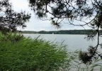 DSCF9218 (3).webp