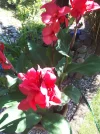 20180629_165040.webp