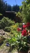 IMG-20180630-WA0000.webp