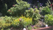 IMG-20180630-WA0002.webp